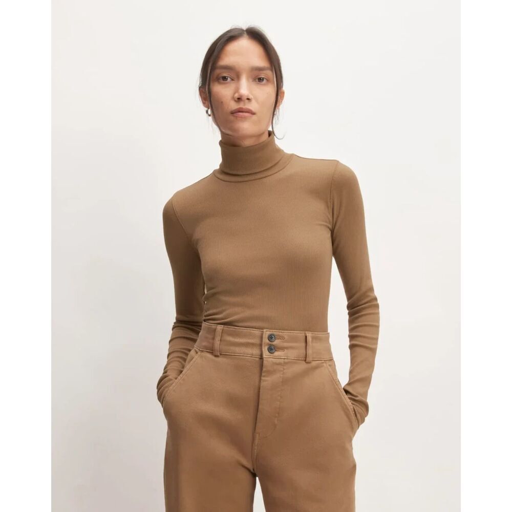 Everlane Luxe Rib Turtleneck
